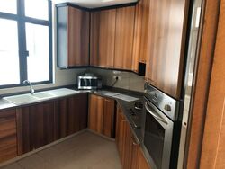 Valley Park (D10), Condominium #550504371